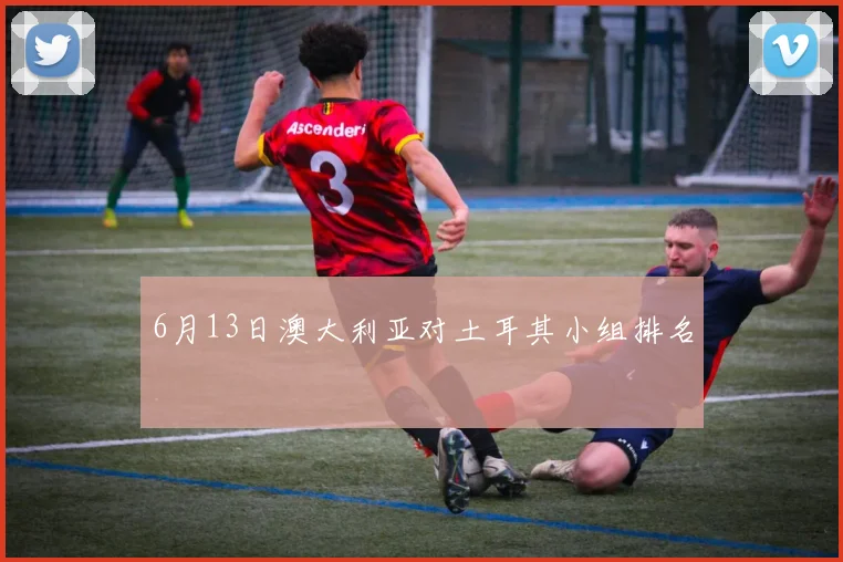6月13日澳大利亚对土耳其小组排名