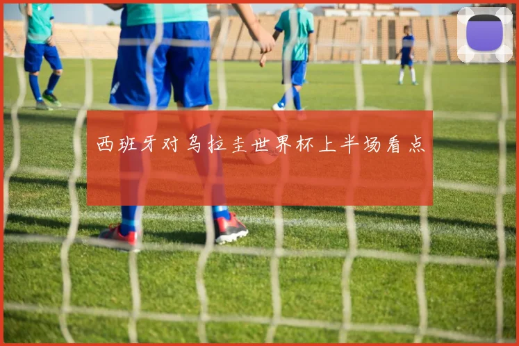 西班牙对乌拉圭世界杯上半场看点
