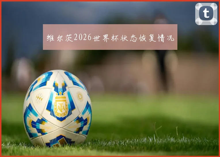 维尔茨2026世界杯状态恢复情况