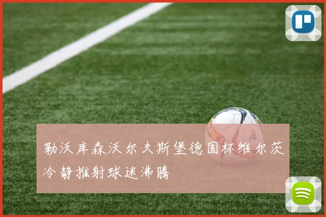 勒沃库森沃尔夫斯堡德国杯维尔茨冷静推射球迷沸腾