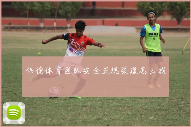 伟德体育团队安全正规渠道怎么找