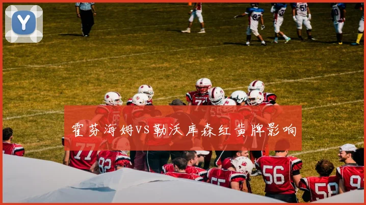霍芬海姆vs勒沃库森红黄牌影响
